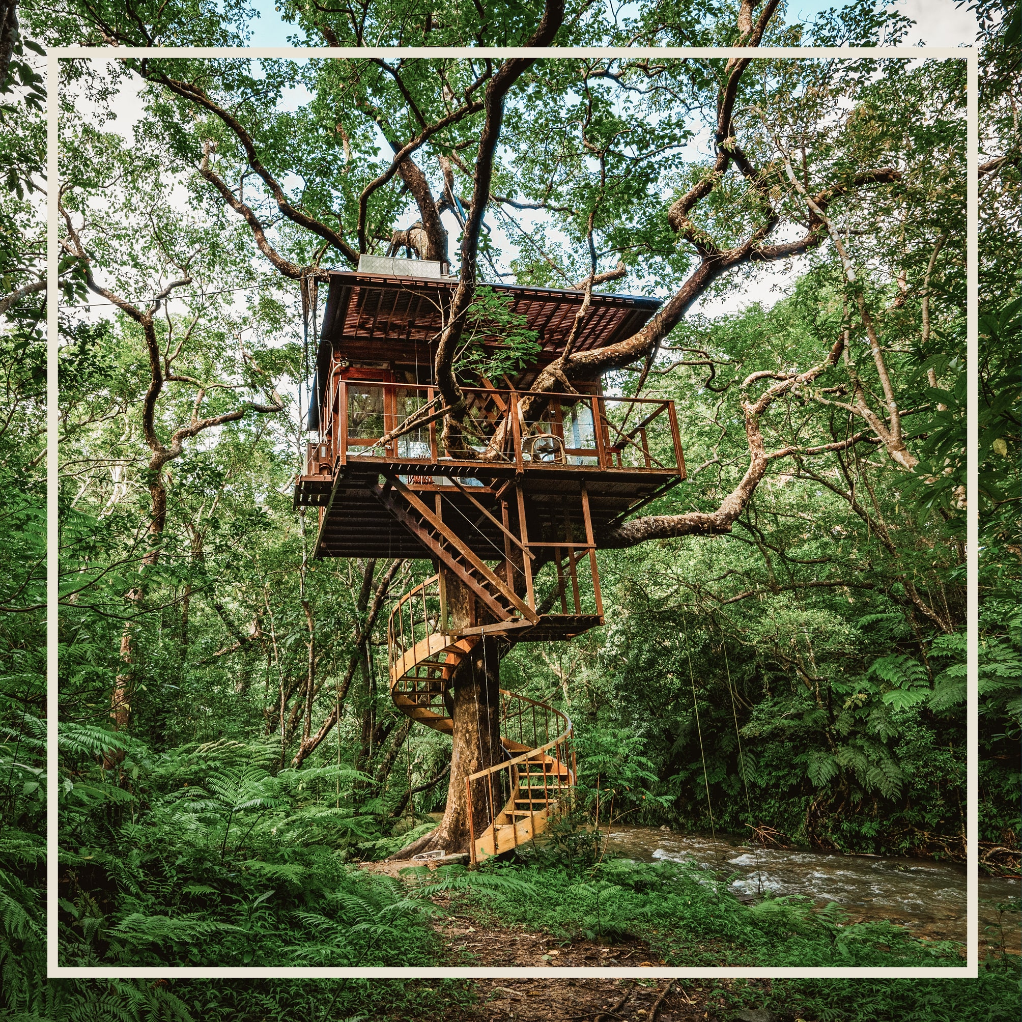 Calendar Travel: Treeful Treehouse, Japan