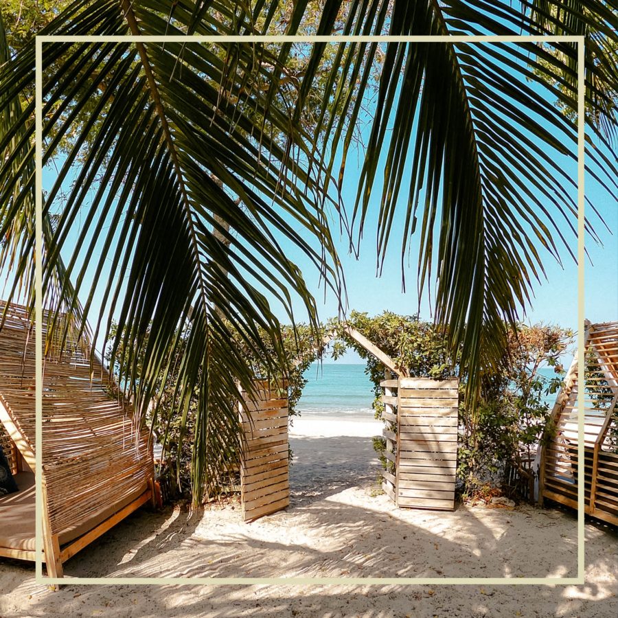 Colombia's Blue Apple Beach House is the sustainable chic-shack-style beach club we all need. Visit for an eco dose of Caribbean beach-life.